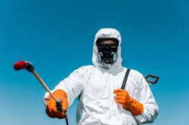 Best Bee and Wasp Removal  in Villa Hills, KY